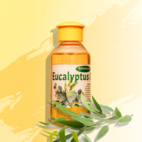 Eucalyptus Oil